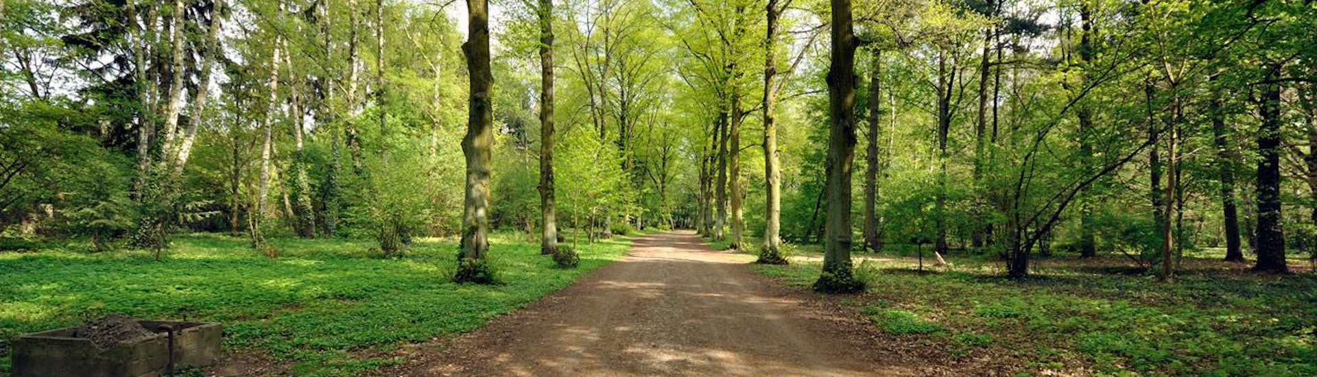 Wrocław Park Grabiszyński